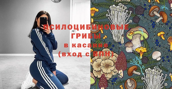 прущий лед Няндома