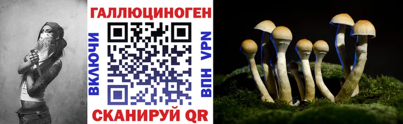кракен как войти  что такое наркотик  Киреевск  Псилоцибиновые грибы прущие грибы 